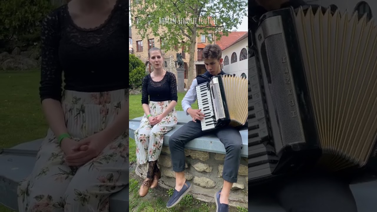 Ludovka 🎹