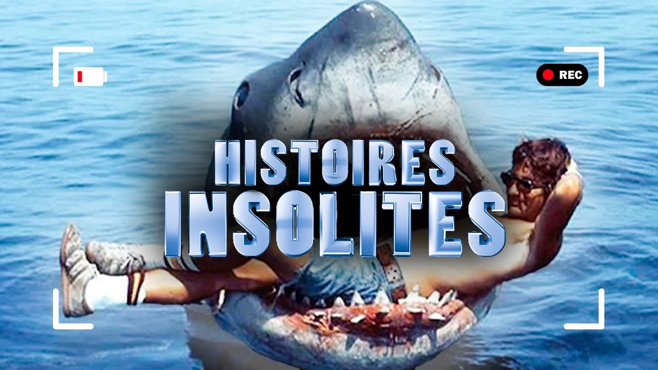 SI VOUS N'ÊTES PAS IMPRESSIONNÉ, VOUS GAGNEZ ! INSOLITE- 01/02-30