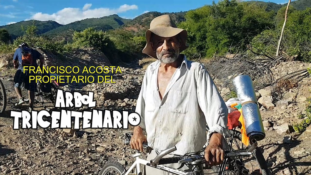 Propietario del árbol tricentenario (entrevista)