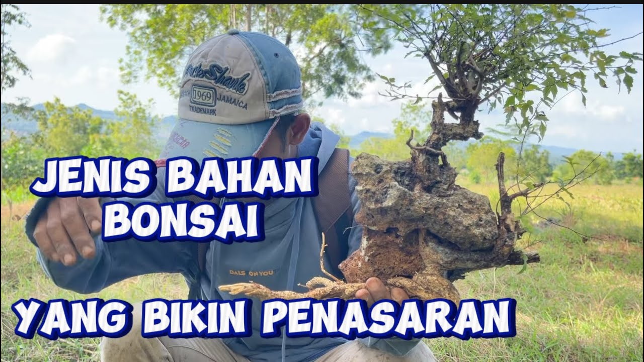 Bahan bonsai yang bikin penasaran.