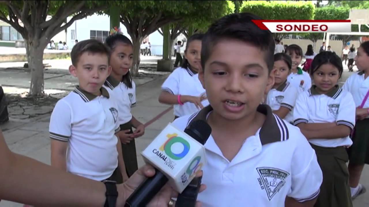 ¿Sabe usted qué se necesita para ser una escuela libre de criaderos de moscos?