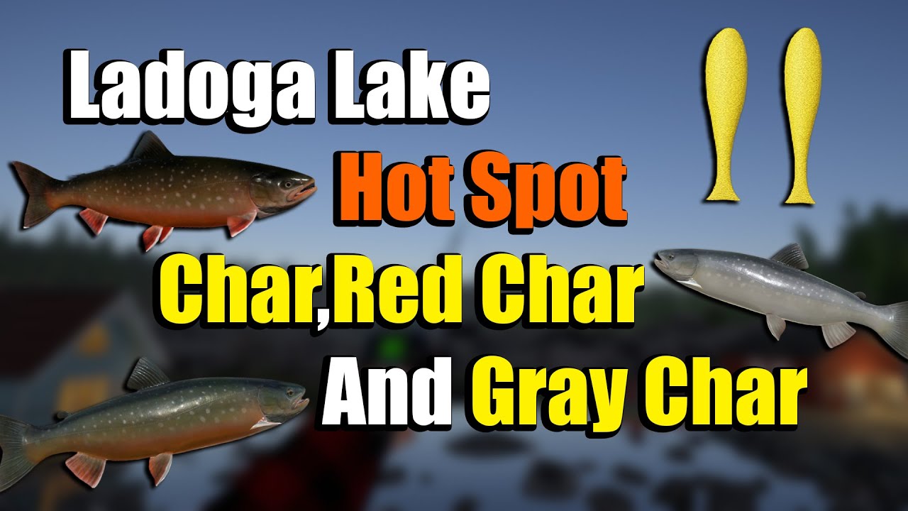🎣Russian Fishing 4 RF4 - Ladoga Lake Char,Red Char and Gray Char Spot