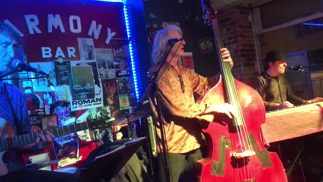 Parrots Tones 11 octobre 2025