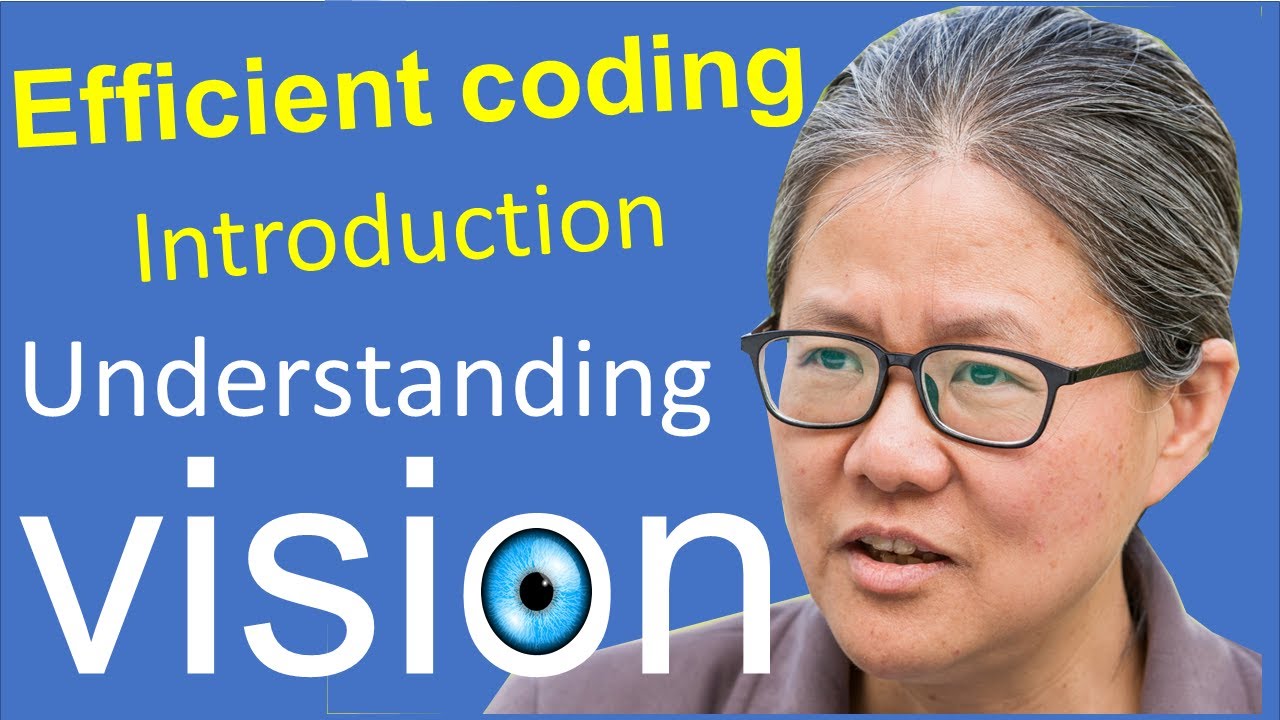 Introduction to efficient coding in early vision