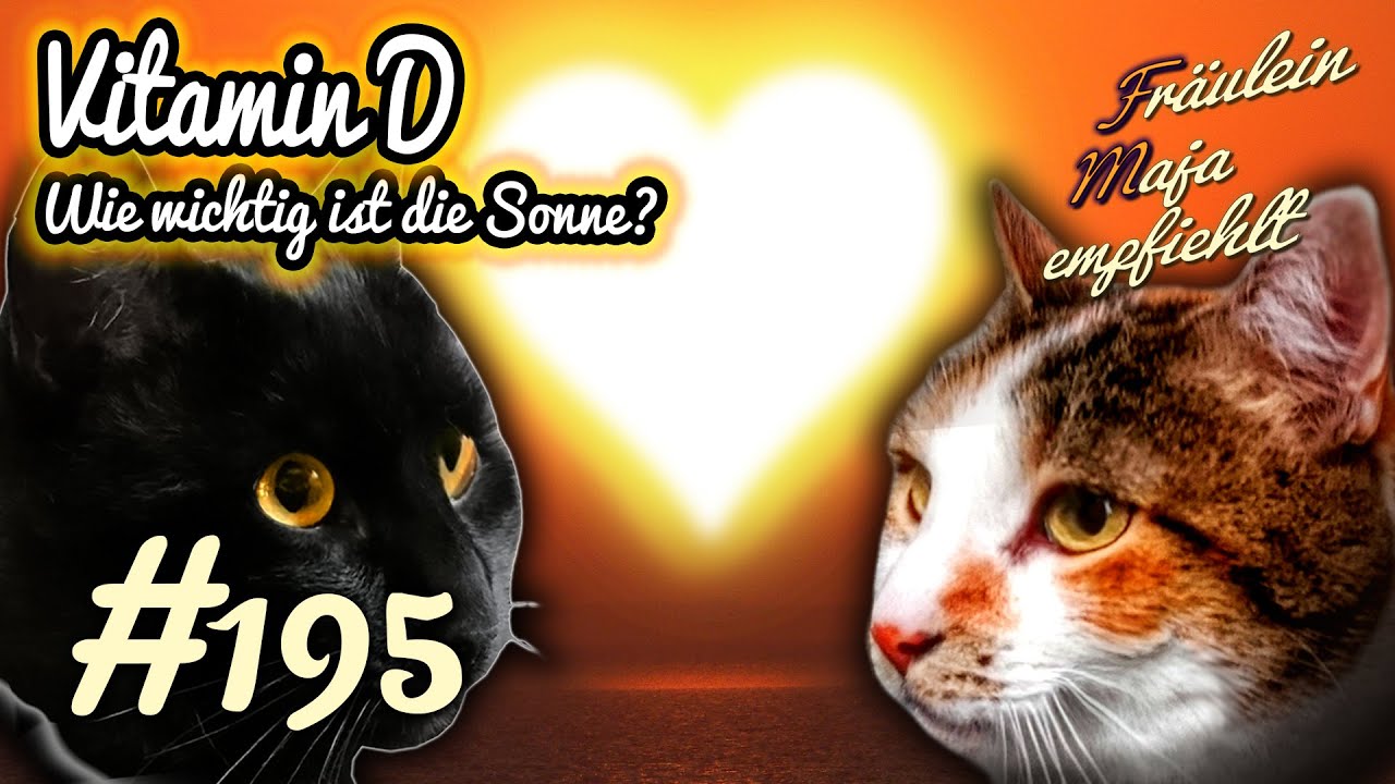 VITAMIN D | Brauchen Katzen SONNE zum ÜBERLEBEN ? Fräulein Maja empfiehlt Teil 195