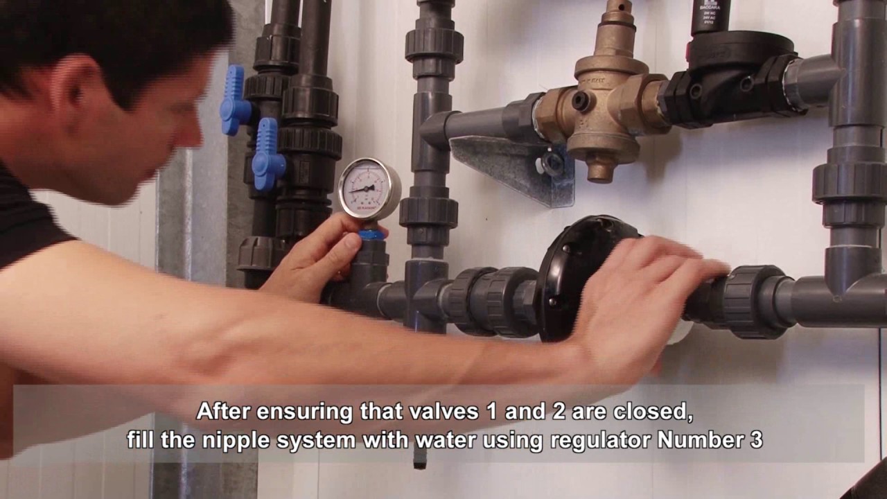 Water On Demand
