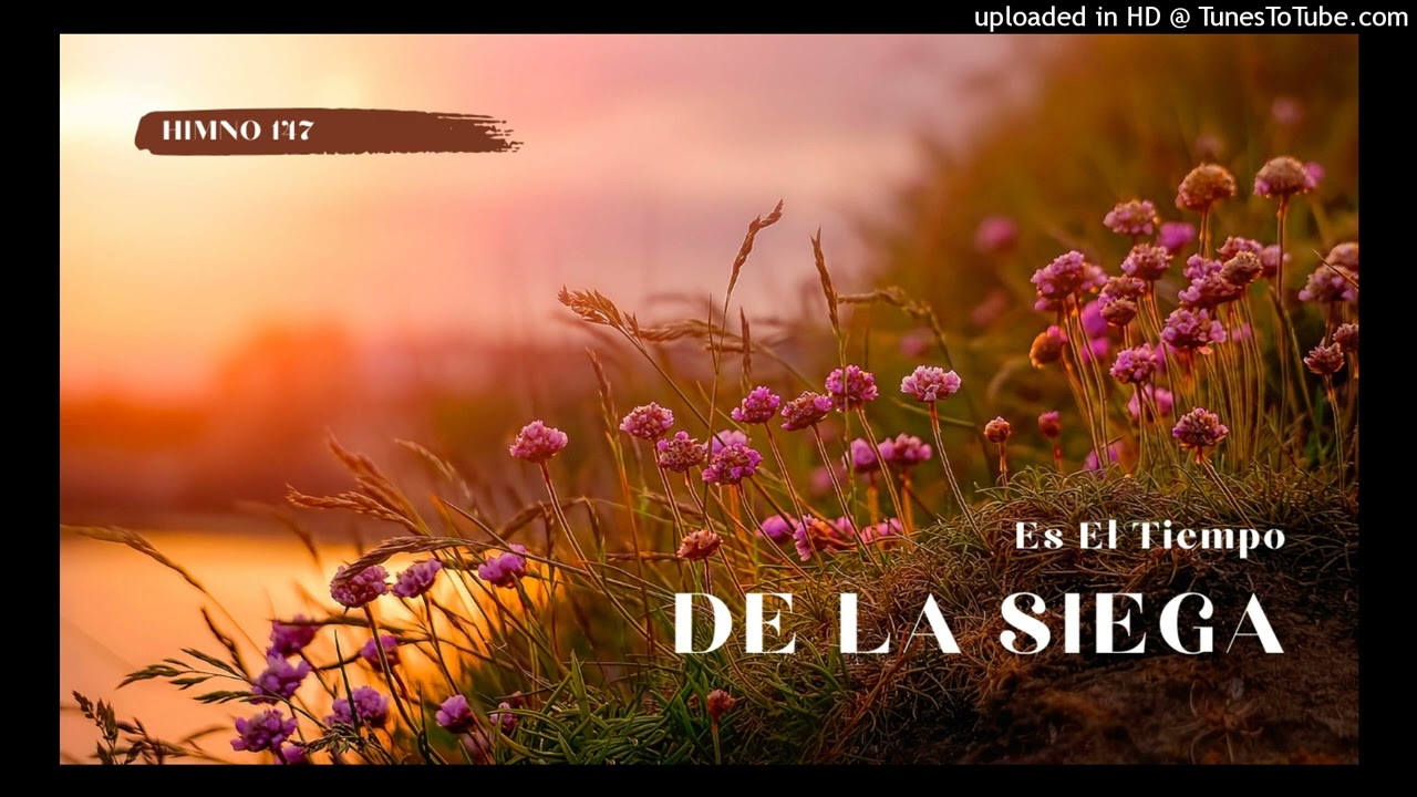 147_ES EL _TIEMPO _E LA SIEGA.