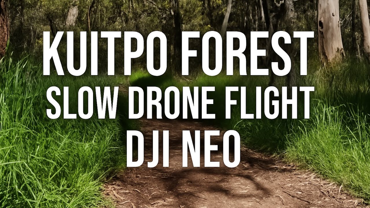 Kuitpo Forest | Slow Drone Flight