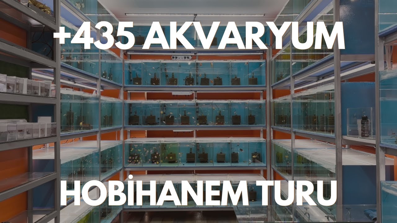 435 akvaryumlu Hobihanem'i gezdik! I Muğla Akvaryumcu Turu