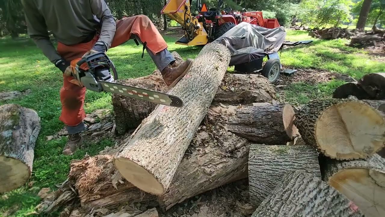 Первые результаты — Husqvarna 562XP Mark II и мои нападки на Stihl!