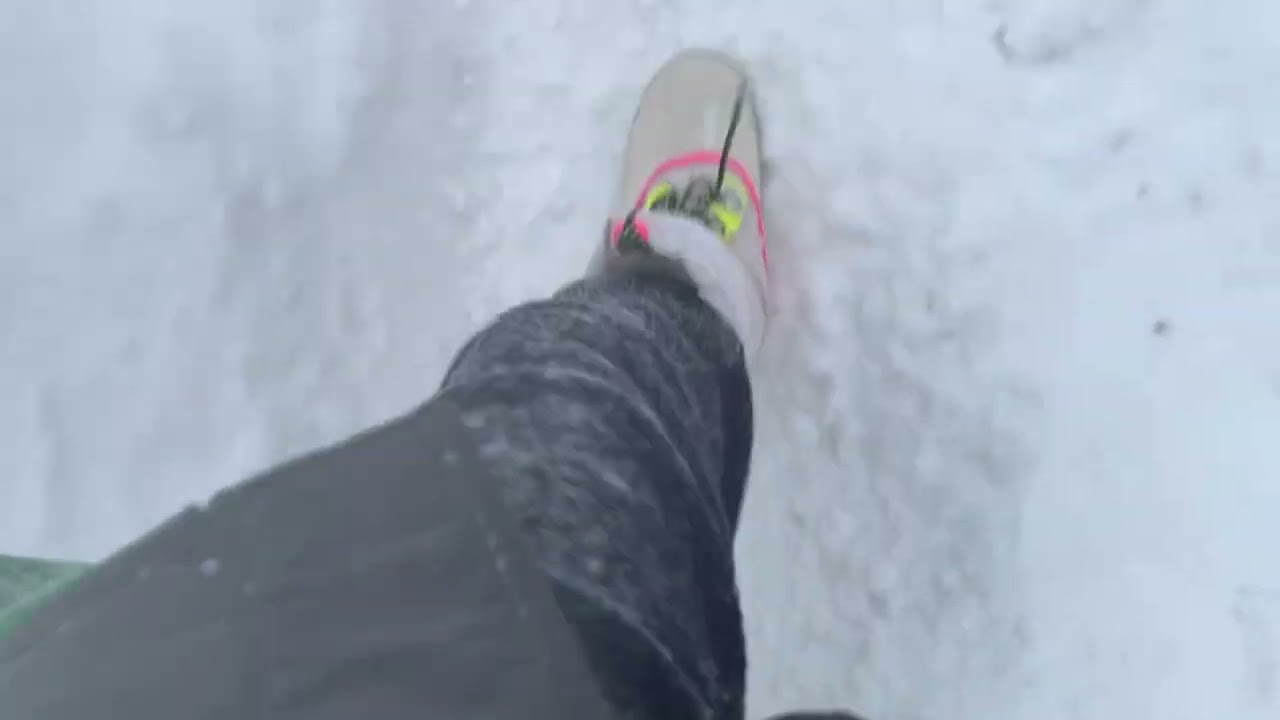 Snowstorm arrival and walk from Rouge Hill GO Train station - January 17, 2022