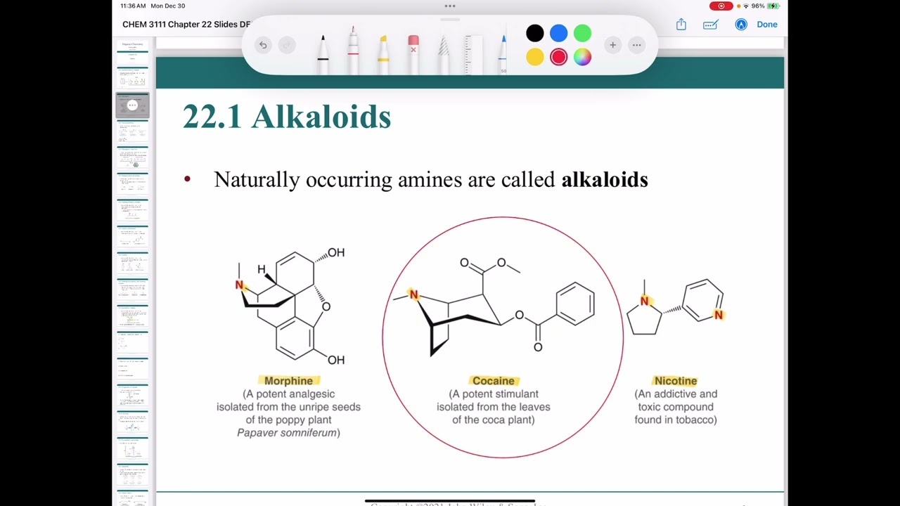 Chapter 22: Amines, 22.1 Introduction to Amines