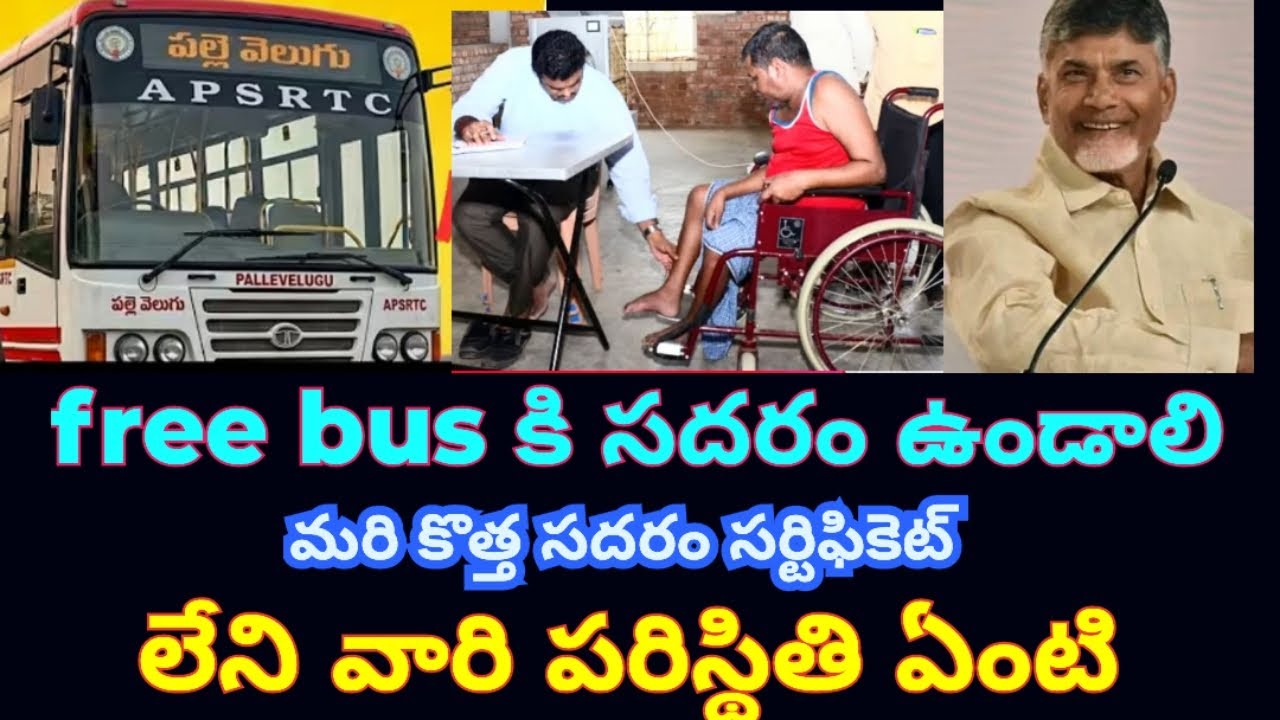 దివ్యాంగులకి సదరన్ కొత్తది # లేకపోతే # free bus వుంటుందా? #apgovernment 
