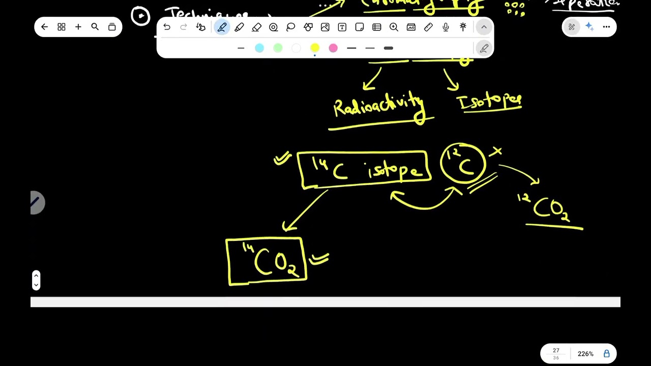 Photosynthesis – Dark Reaction Explained | C3, C4, C2 & CAM Pathways