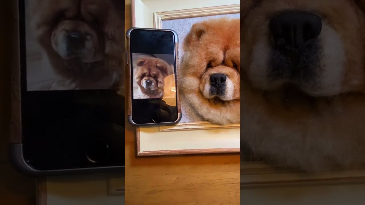 The Best Gift for Pet Lovers &ndash; Custom Needle Felted Portraits