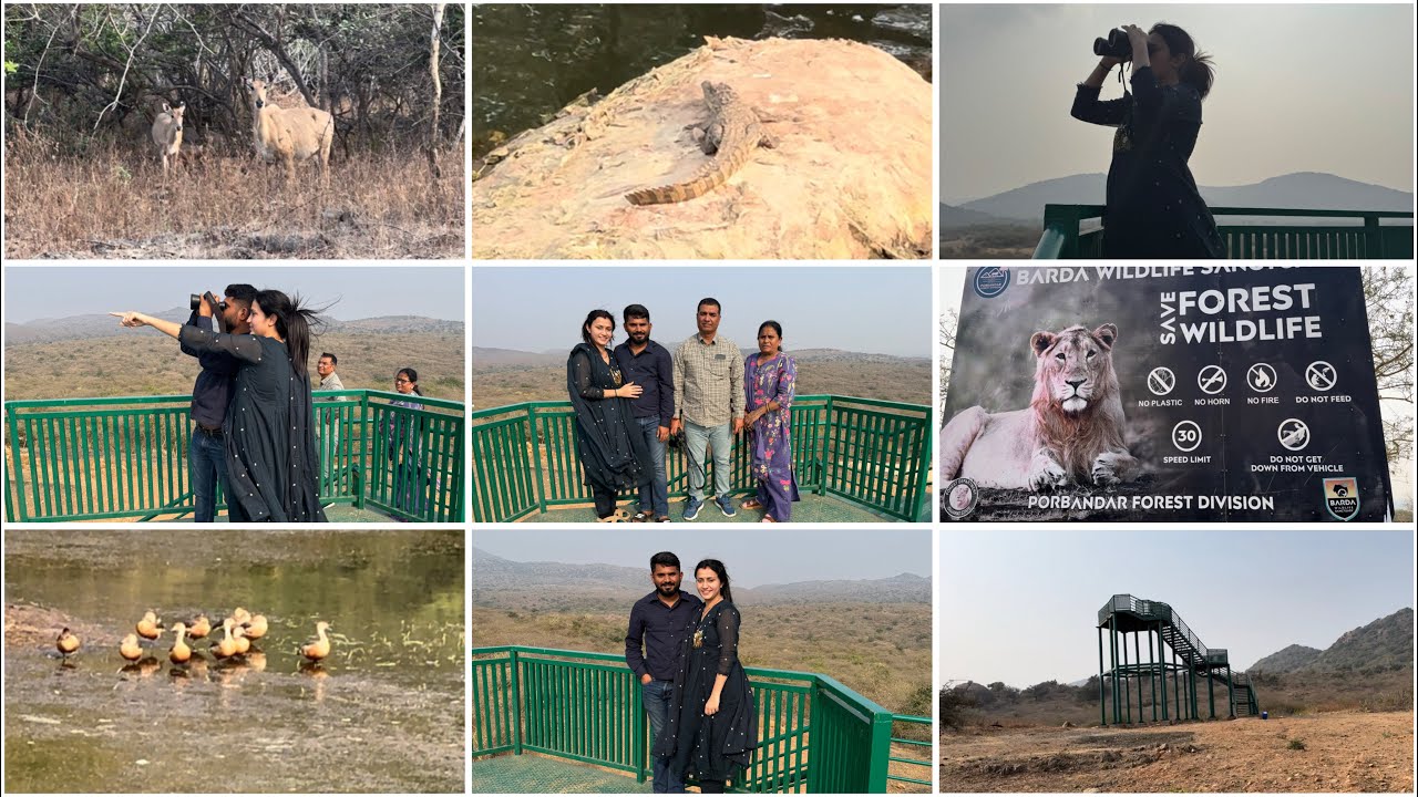 જંગલ સફારી – ભાગ ૨ jungle safari PART-2