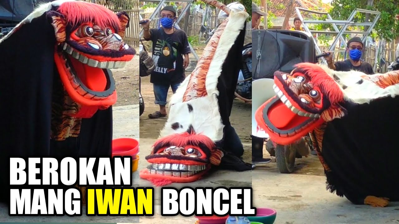 Berokan Tetetoet | Berokan Cuplak | Berokan Bongas Indramayu
