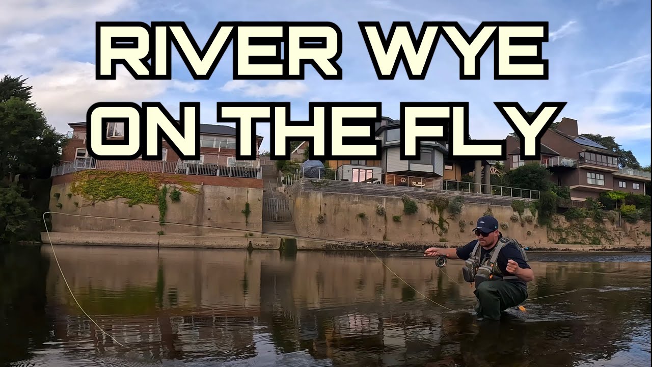 THE RIVER WYE - Fly Fishing for Brown Trout , Chub & Dace