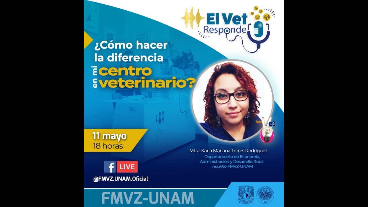 ¿Cómo hacer la diferencia en mi centro veterinario?
