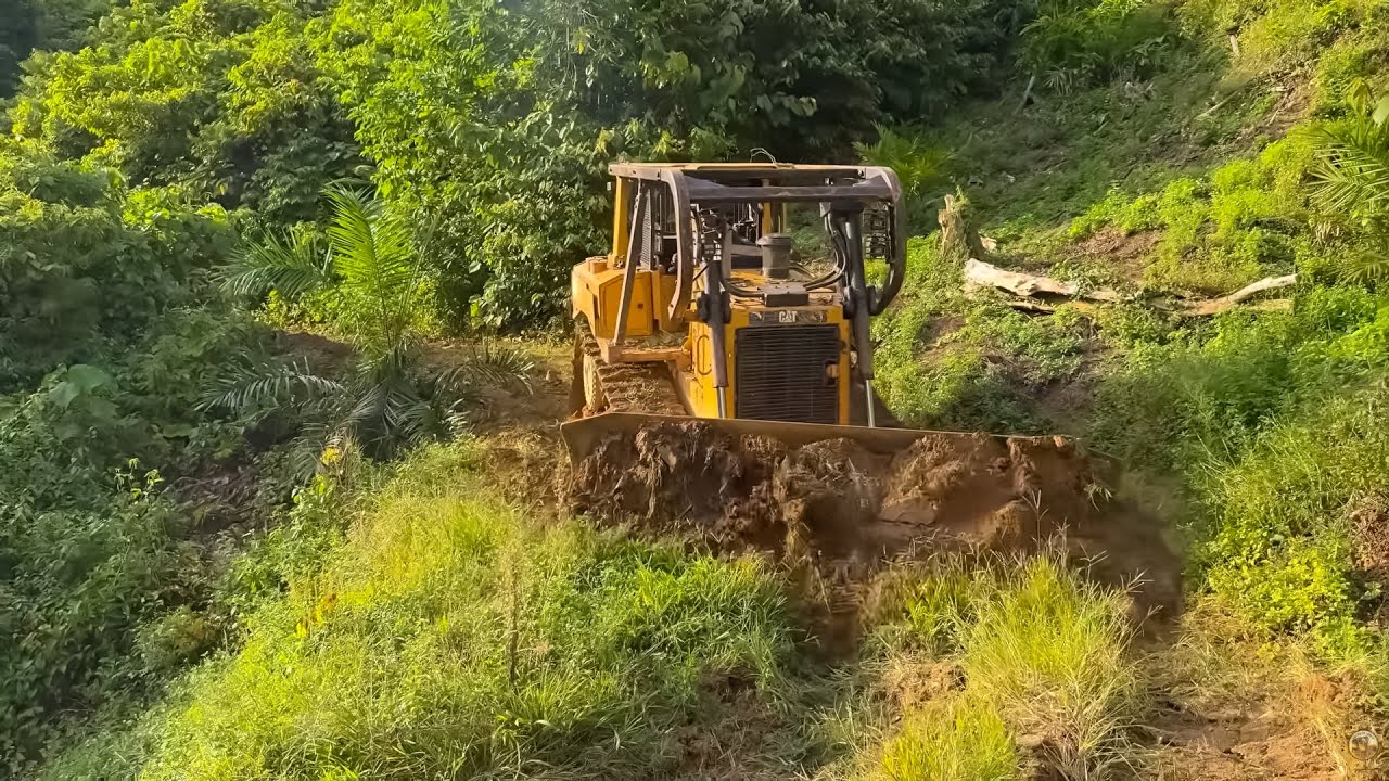 Amazing Maximizing Plantation Road Durability with the D6R XL Bulldozer