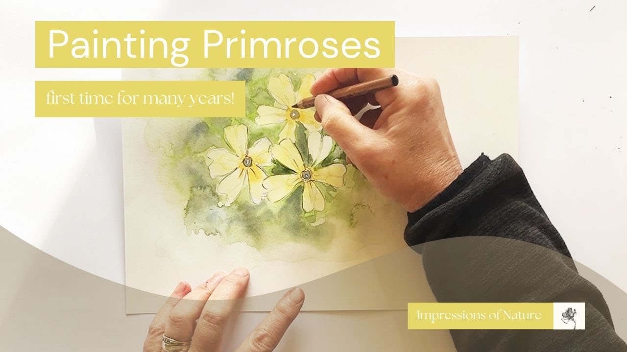 Paint with me - primroses - maybe the first time in over 20 Years!