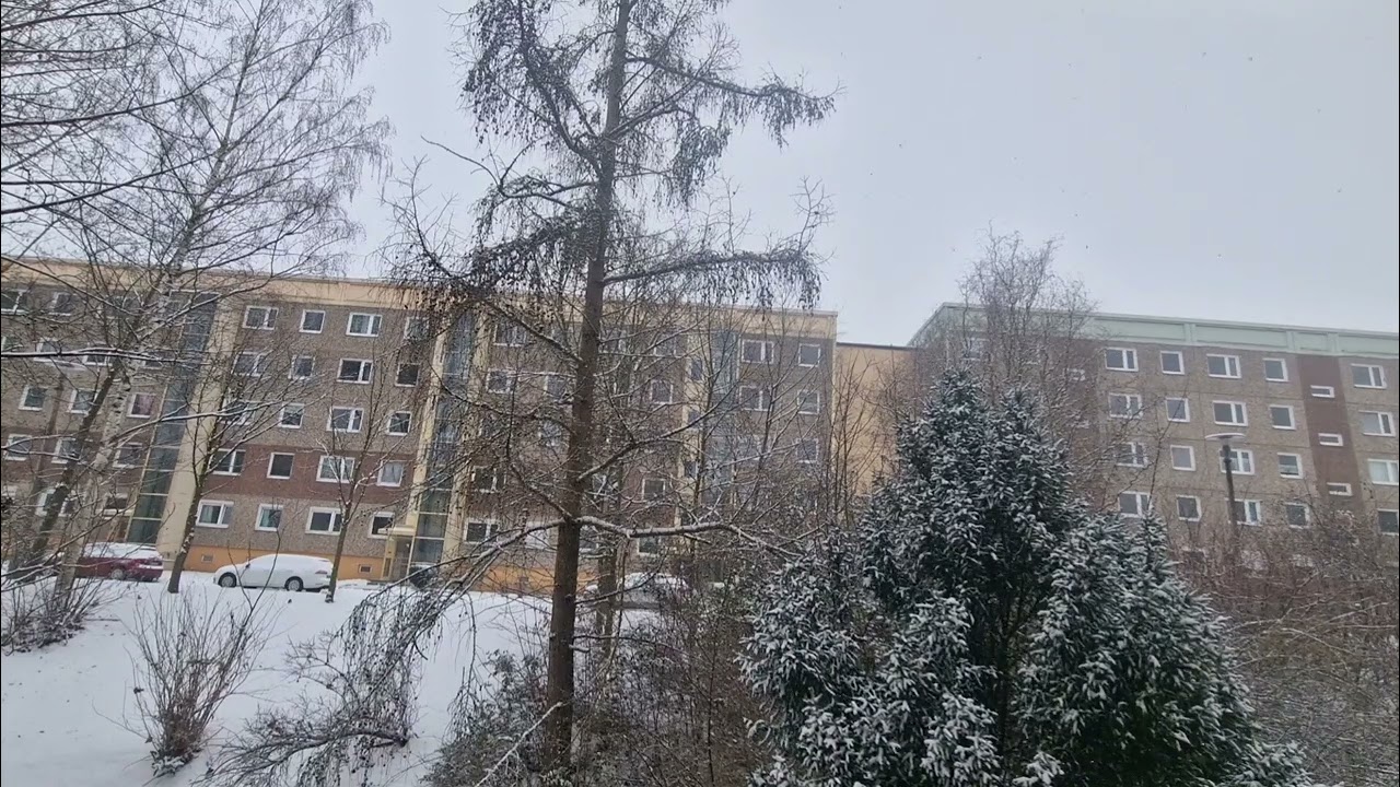 Ein ruhiger Wintertag 🪾❄🐦. 