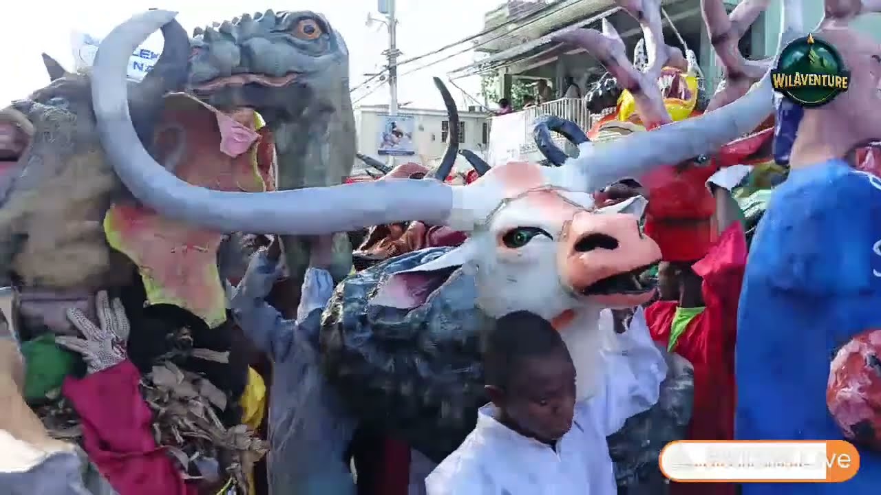 DIMANCH 08 FEVRIYE . KANAVAL NASYONAL JAKMEL .