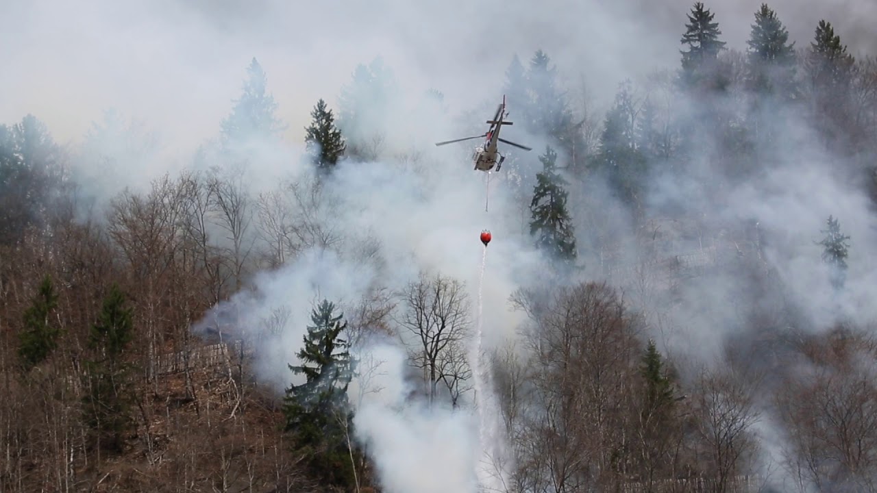 Waldbrand in Braz - 150 Feuerwehrkräfte im Einsatz