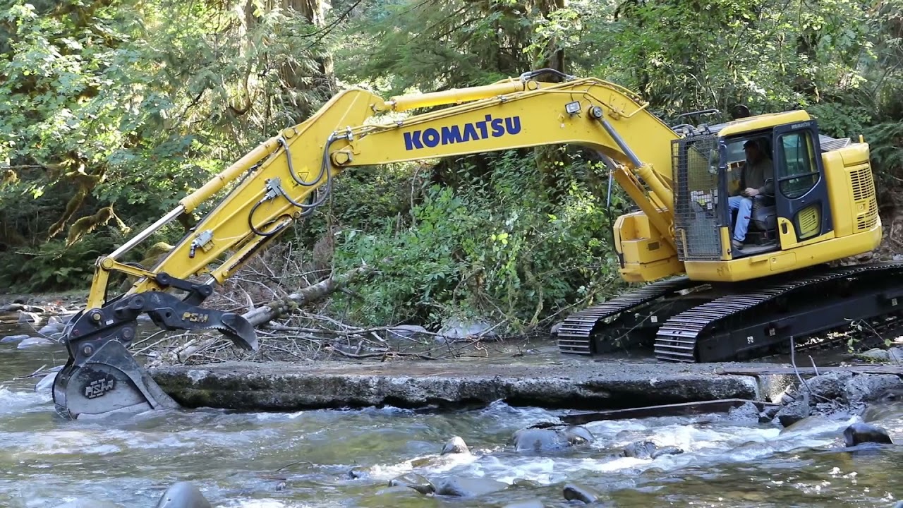 Eagle Creek at Eagle Fern Park Fish Passage (Dam Removal)