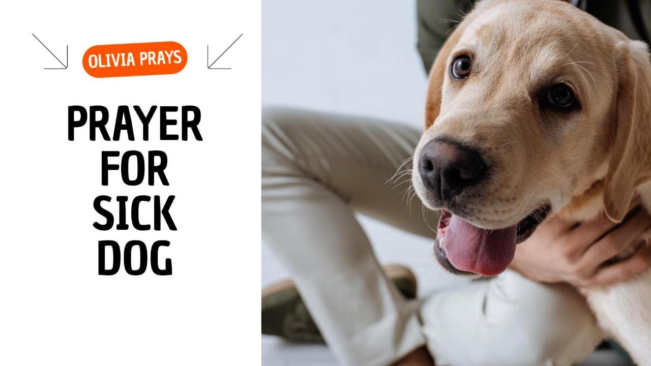 Prayer for Sick Dog - Oh Lord, Heal Our Canine Companion
