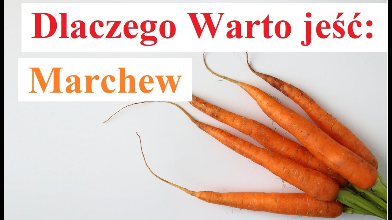 Dlaczego Warto jeść Marchew