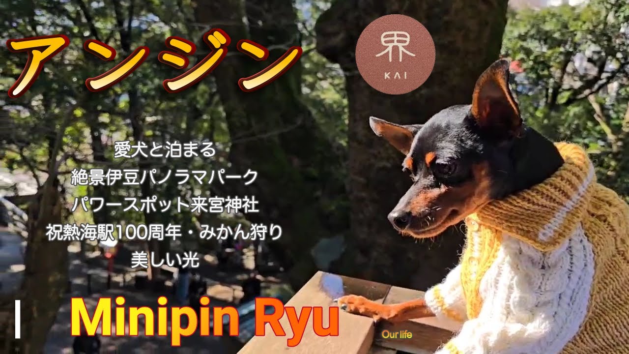 [界アンジン］パノラマパーク/パワースポット来宮神社/祝熱海駅100周年/Ryuのみかん狩/今回も美しい光を数多く撮影できましたどうぞご覧下さい。