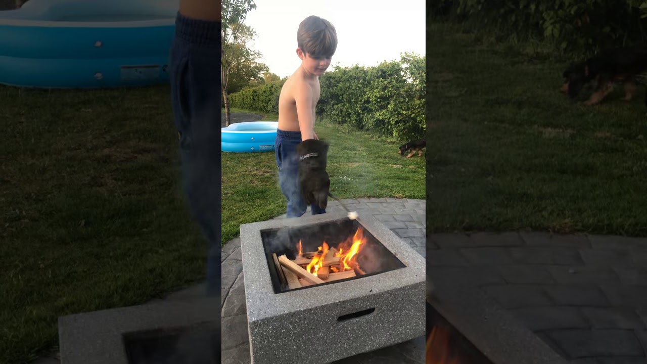 Roasting marshmallows fire pit