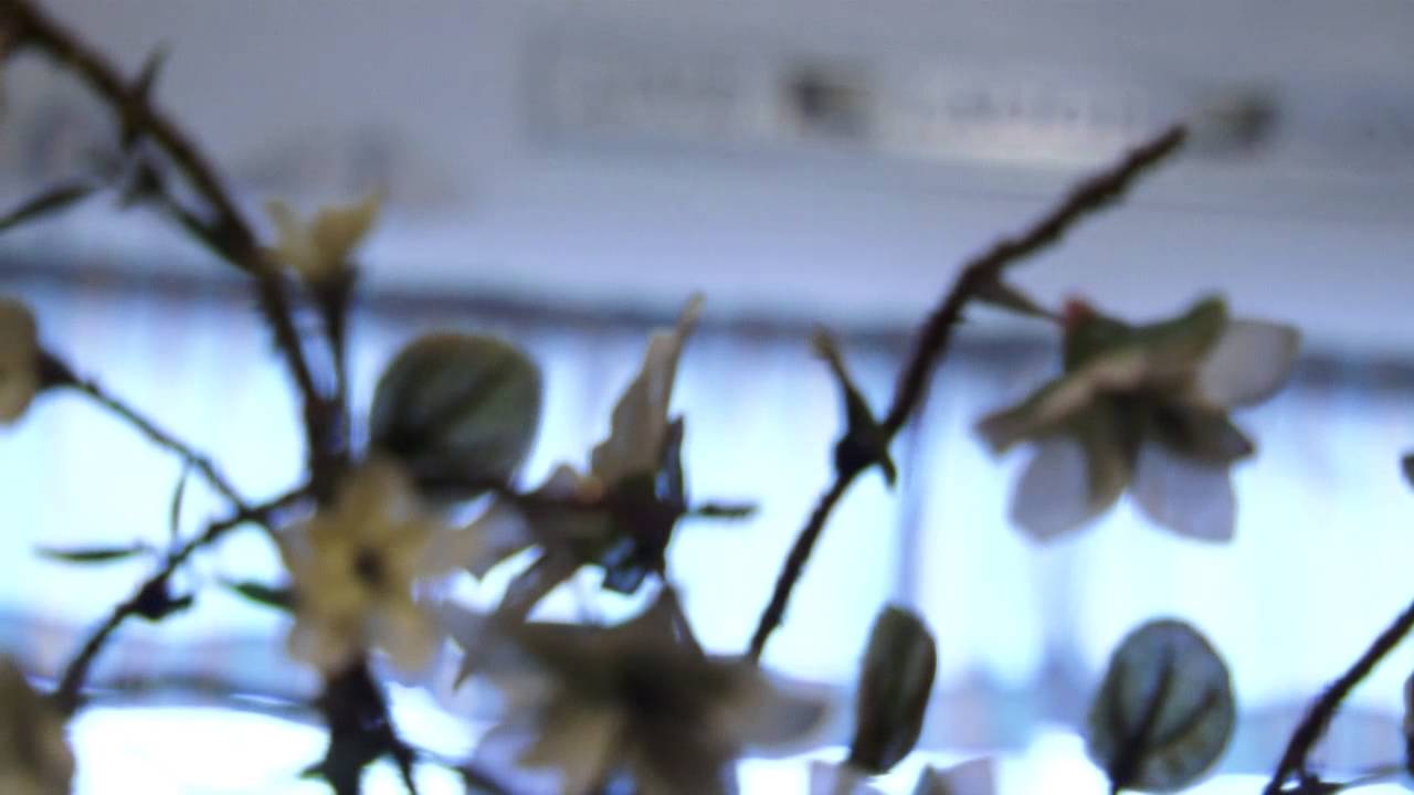 A Woman's Pregnancy Center -  Linsday's Story