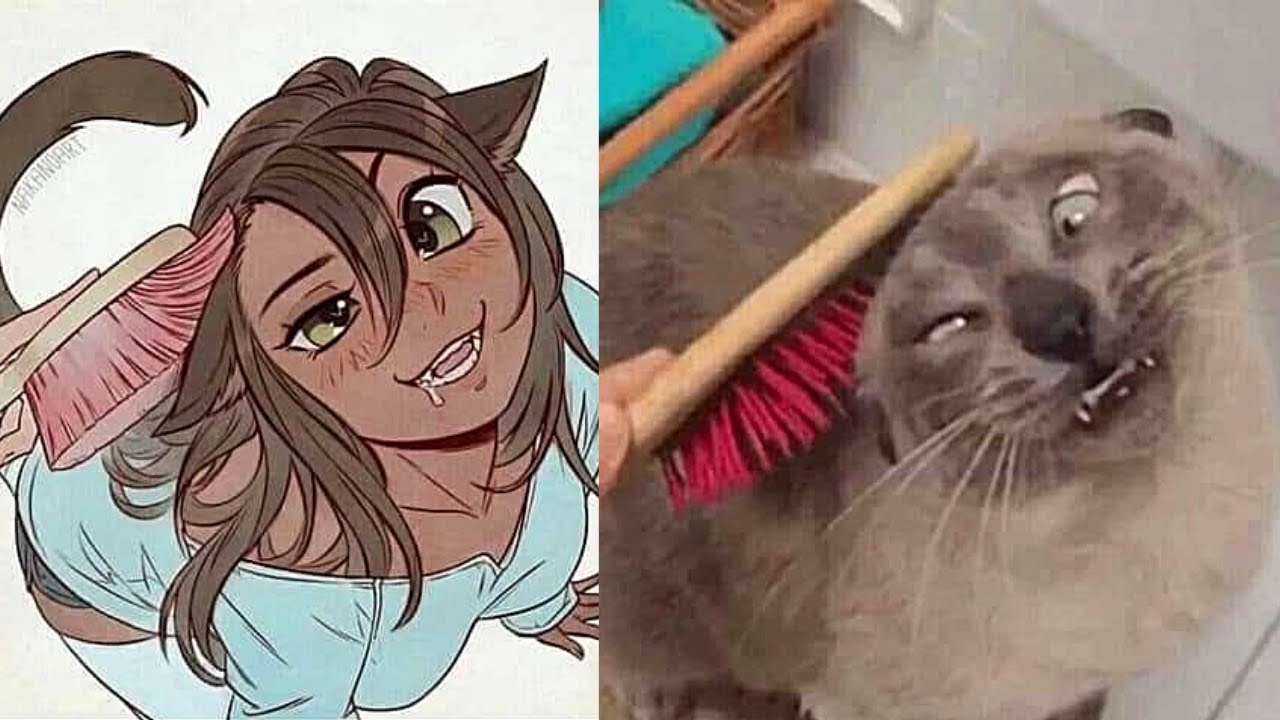 ANIME MEMES V106