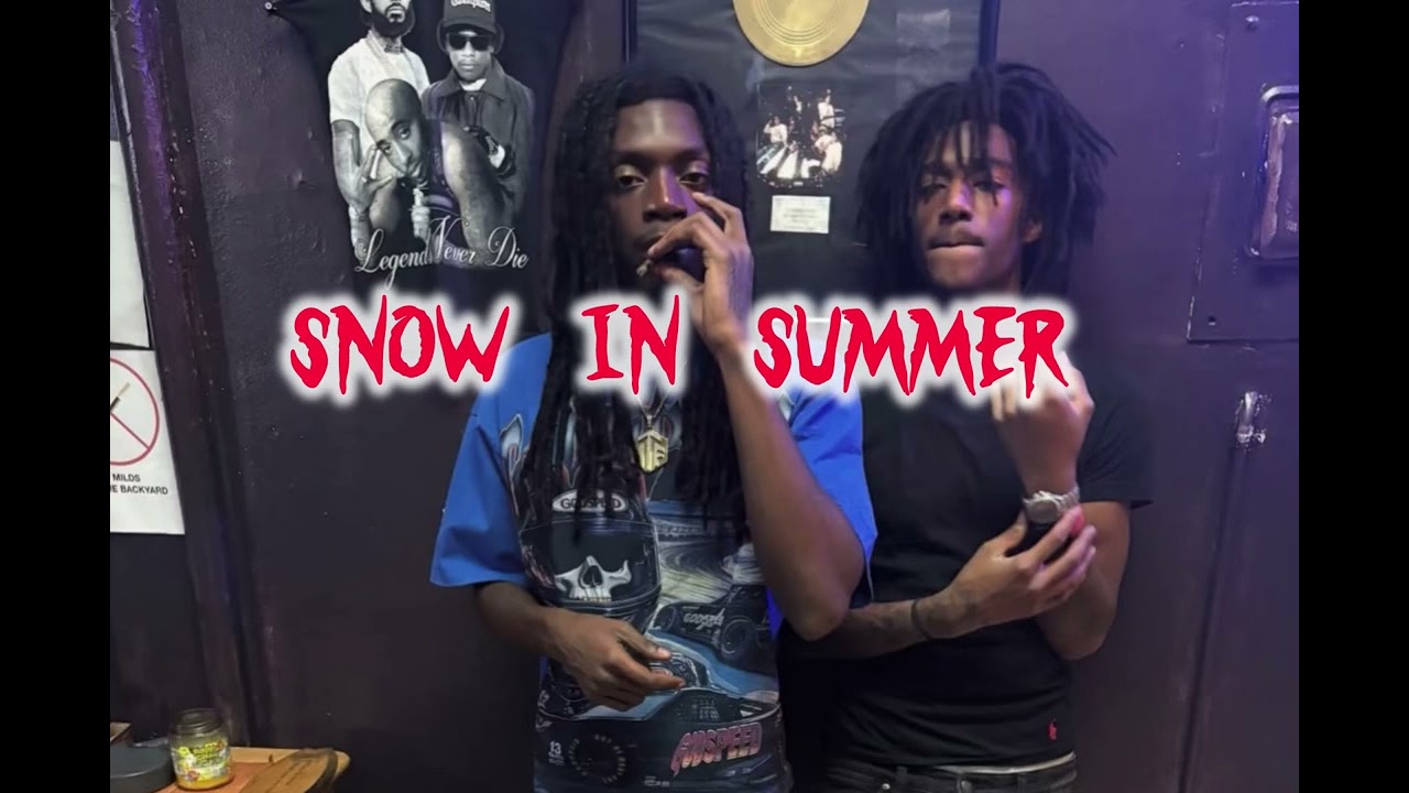 [FREE] Lil swerv x Feezy G Type beta “SNOW IN SUMMER”