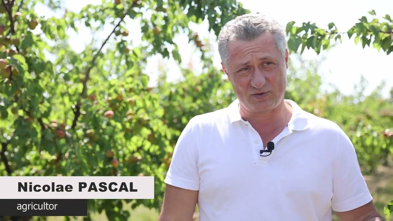 Protecția integrată la cultura caisului