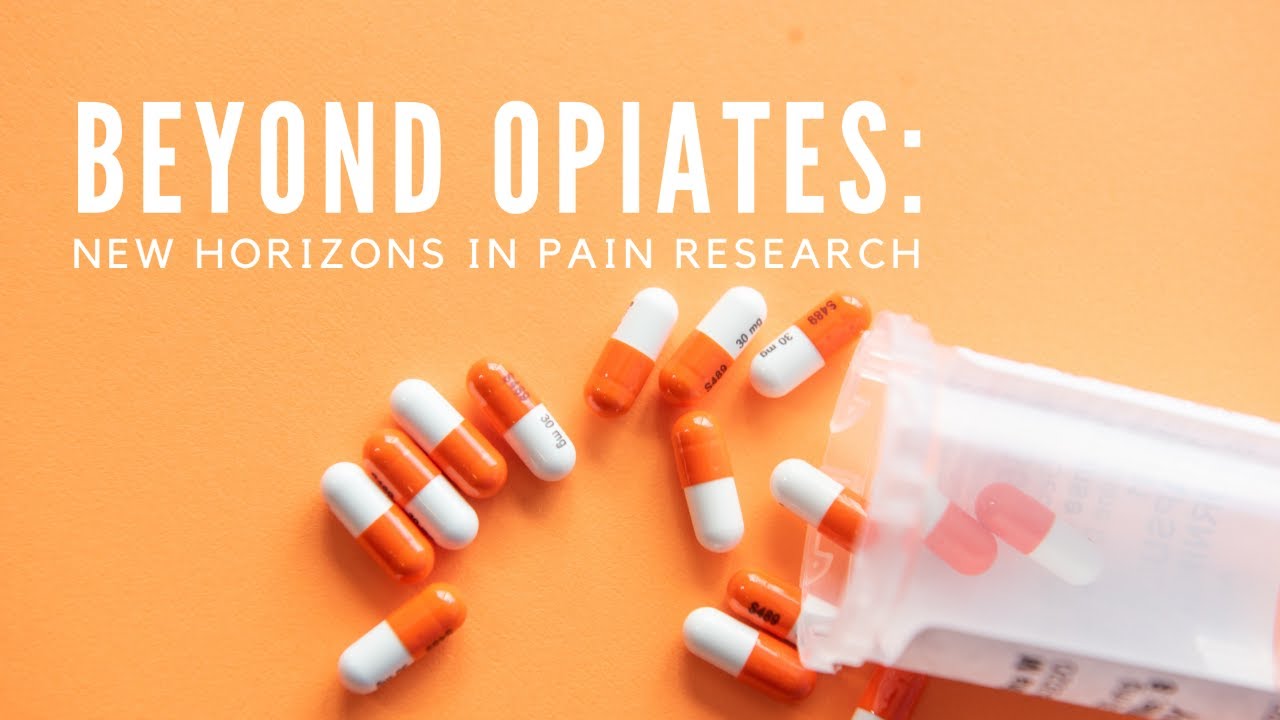 Beyond Opiates: New Horizons in Pain Research