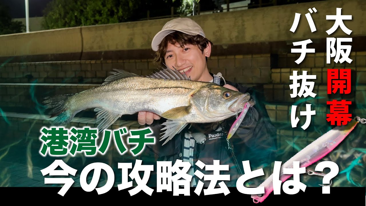 ついに開幕！今の大阪湾バチ抜けシーバスを速報レポ