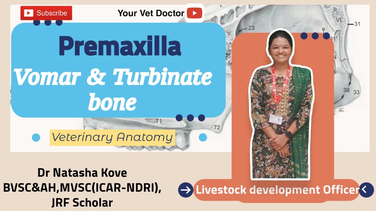 Anatomy Breakdown: Premaxilla, Vomer, and Turbinate Bones in Animals #veterinaryscience #vetanatomy