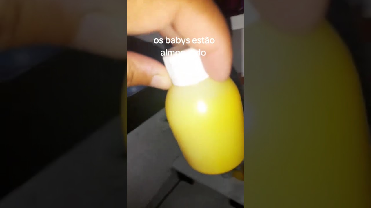 Os babys está almoçando 