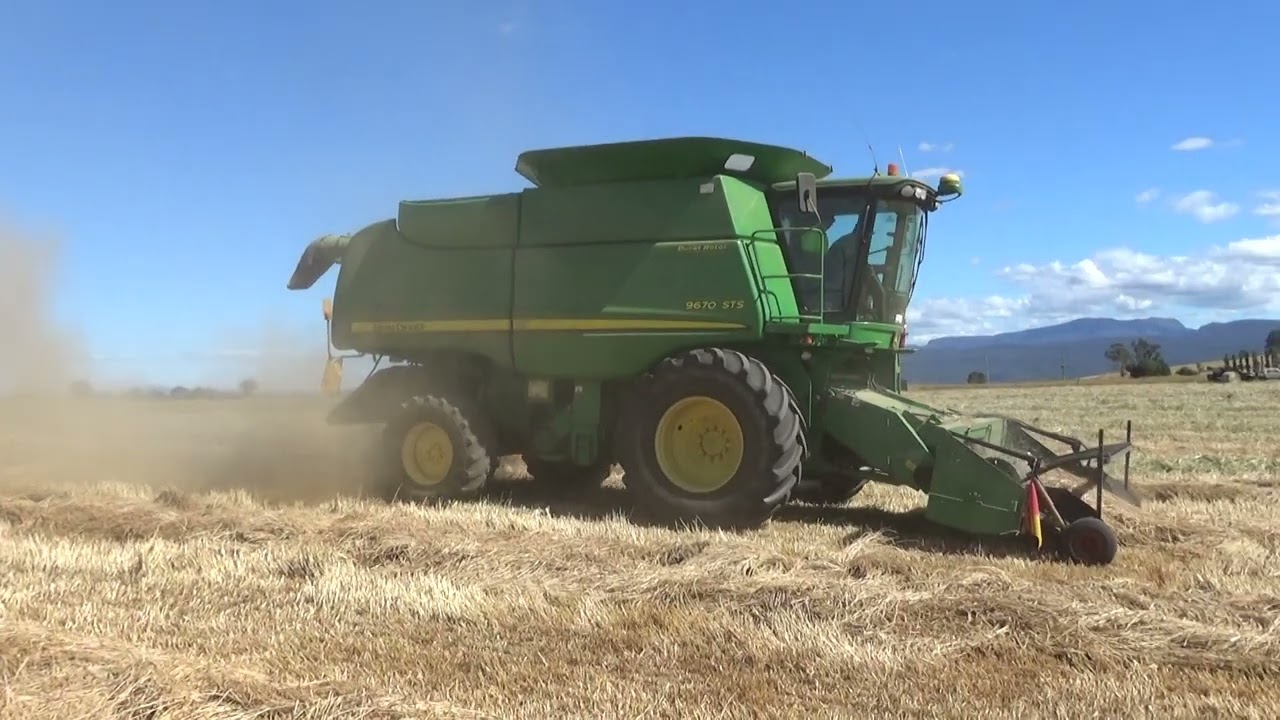 Rocaleja Grass Seed Harvest 2026 Part 2