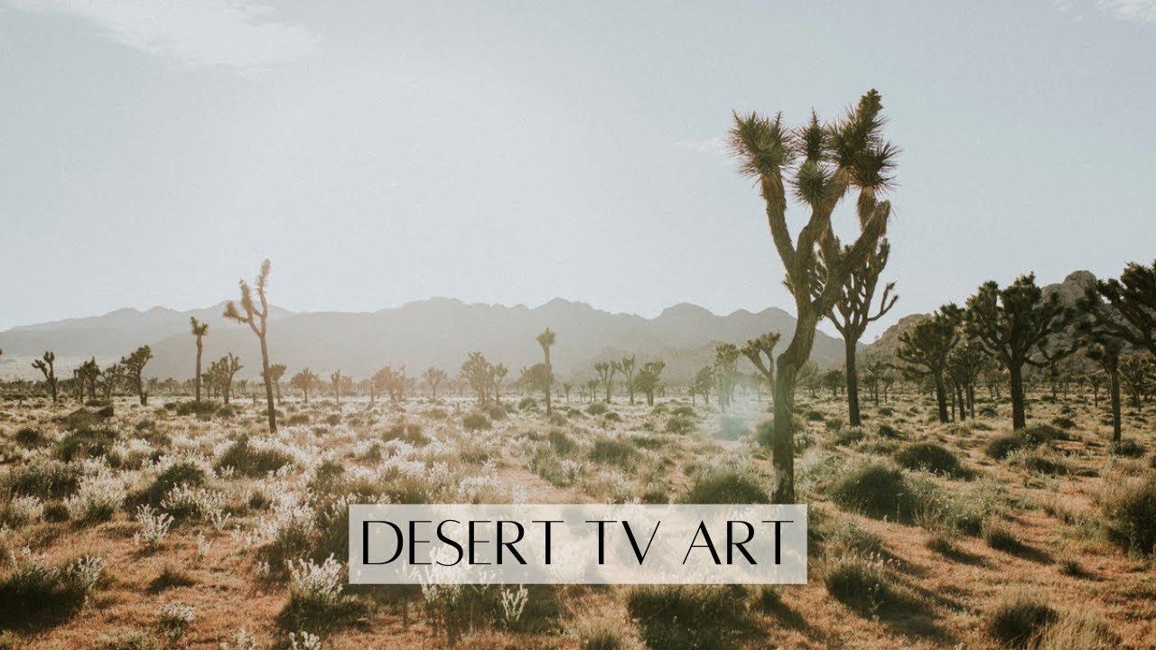 Desert Landscape TV Art | 2hr 4K HD Neutral Nature TV Screensaver | Aesthetic Cactus TV Art