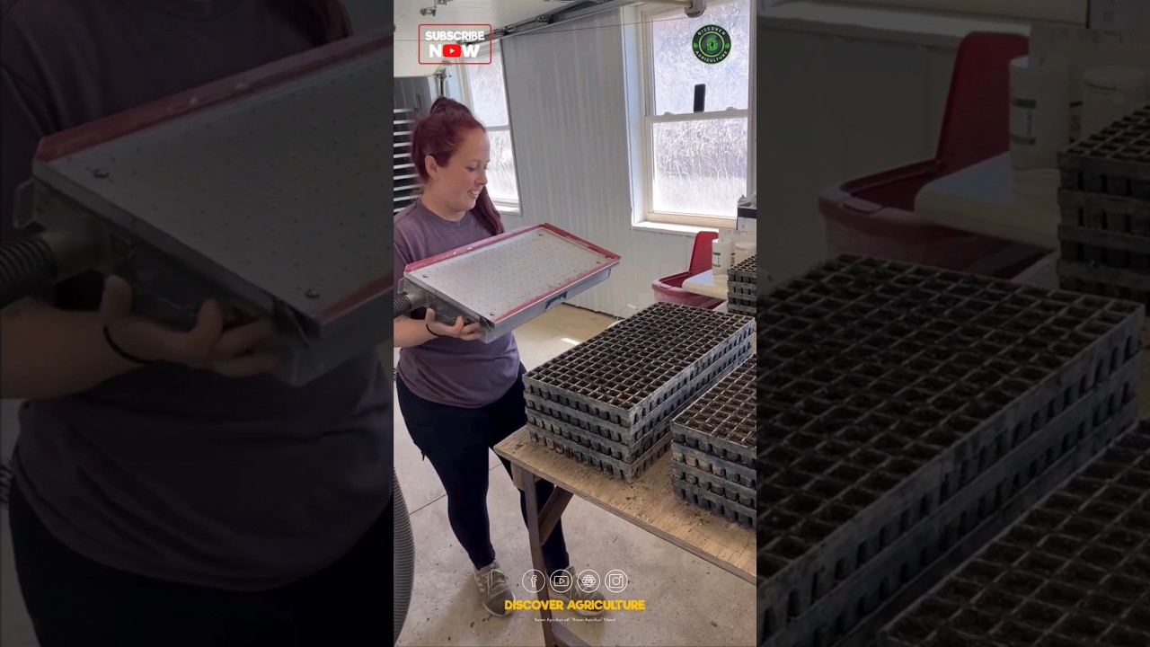 Simple & Amazing Seed Tray Filling & Seed Sowing Technique