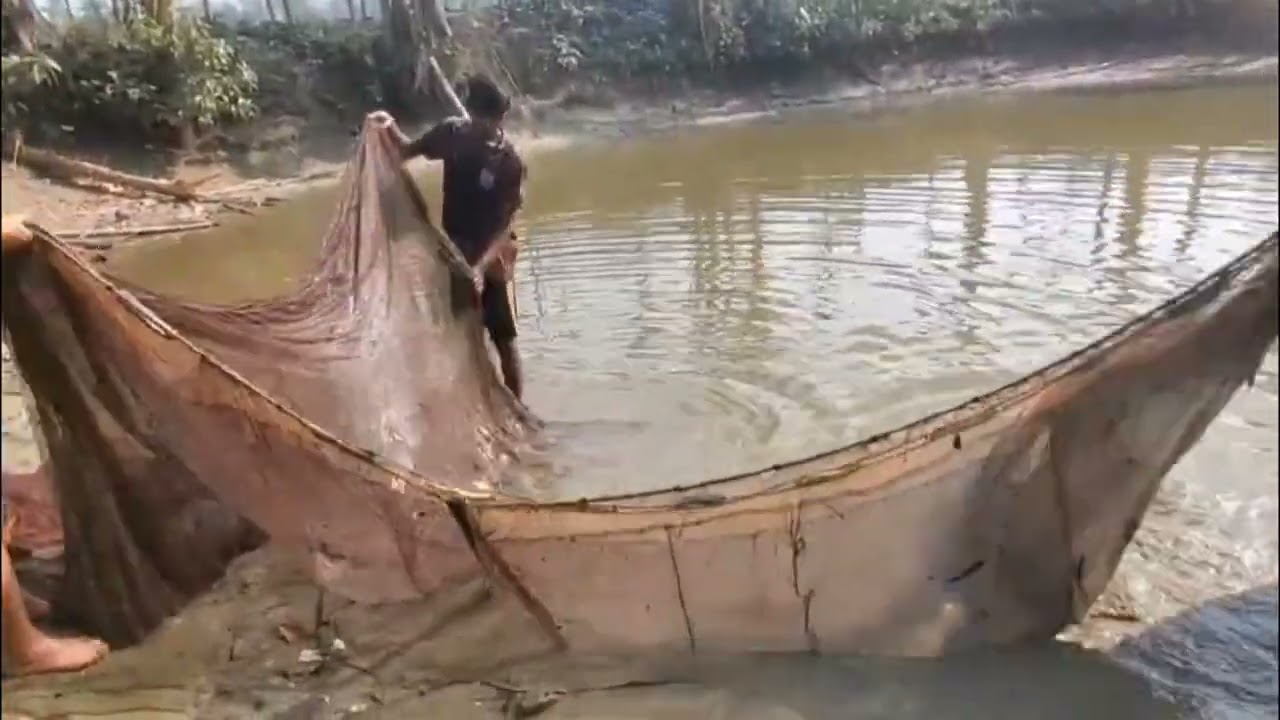 পুকুরে জাল ফেলে মাছ ধরলাম🐋🐳