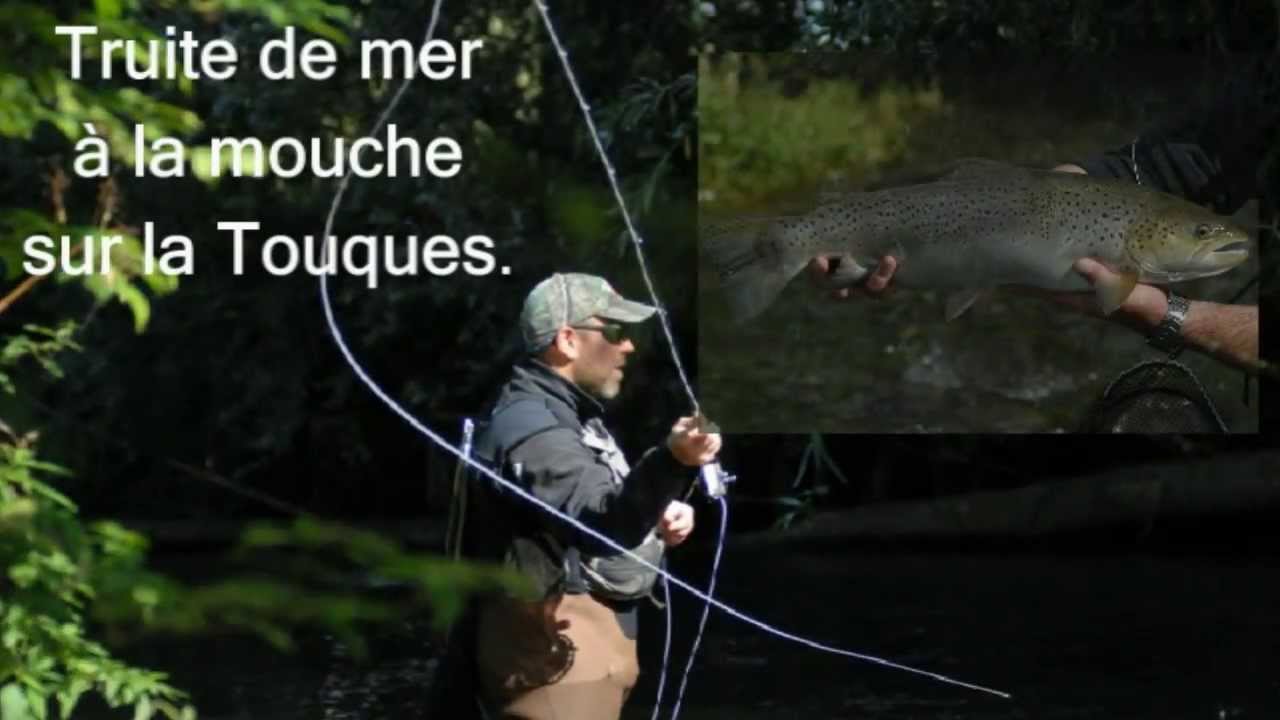 P&ecirc;che &agrave; la mouche Truite de mer (14)