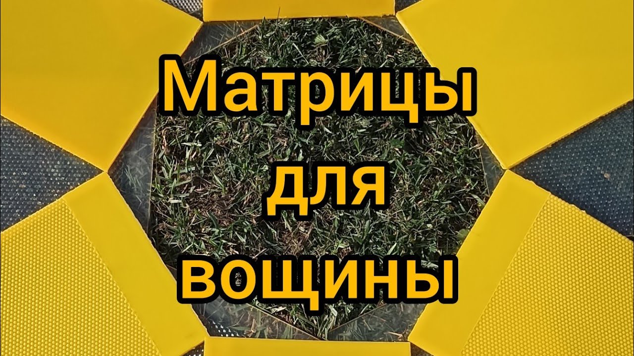 Матрица для вощины. Отзыв из Московской области #матрицадлявощины #живойсот