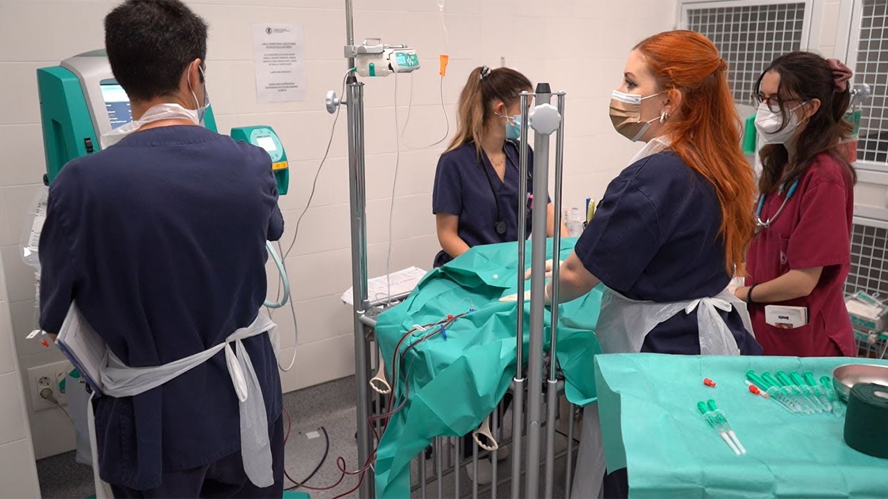 El Hospital Veterinario UCV realiza con éxito un tratamiento de plasmaféresis a un perro