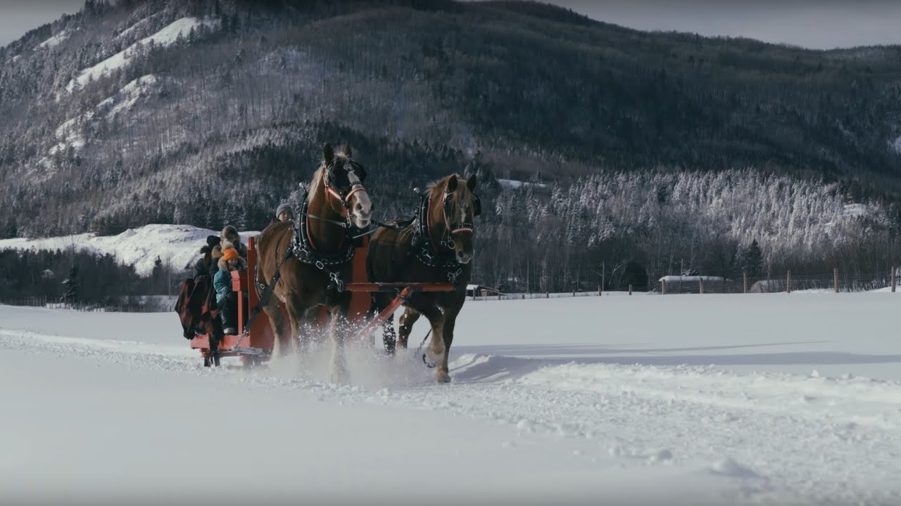 Les montagnards de charlevoix - Randonnée à cheval