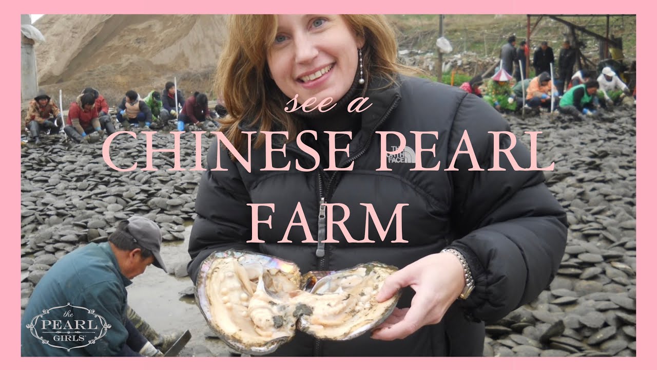 See A Pearl Farm in China by The Pearl Girls